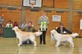Bryan wird Best of Breed in Hoechstadt