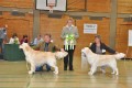 Bryan wird Best of Breed in Hoechstadt