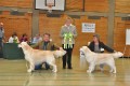 Bryan wird Best of Breed in Hoechstadt