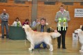 Bryan wird Best of Breed in Hoechstadt