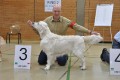 Kenny wird dritter in Hoechstadt