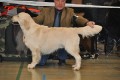 Thyler gewinnt in Hoechstadt