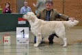 Thyler gewinnt in Hoechstadt