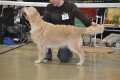 Joy Full Amy gewinnt ihr erstes Veteranen-CAC