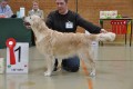 Joy Full Amy gewinnt ihr erstes Veteranen-CAC
