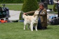 Merlin wird zweiter auf der Clubshow in Melk/A 