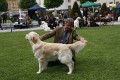 Merlin wird zweiter auf der Clubshow in Melk/A 