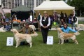 Merlin wird zweiter auf der Clubshow in Melk/A 