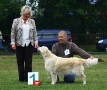 Joy Full Amy gewinnt in Markt Bibart