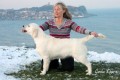 Crystal after Winning Best Puppy of Breed ! 7 Months old