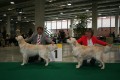 Bryan und Johnny auf der IHA in St. Gallen