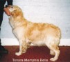 Tonara Memphis Belle 