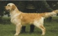 Kerrien Churchill of Sansue