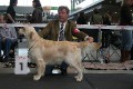 Johnny 1. Platz in Stuttgart