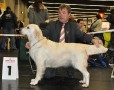 Queenie gewinnt in Nürnberg