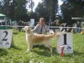 Fame gewinnt in Winnnenden