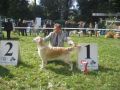 Fame gewinnt in Winnenden