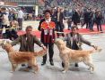 Garry Landessieger Bayern und BOS in München 2001
