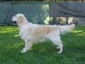 Garry 6 Jahre alt