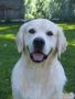 Garry 6 Jahre alt