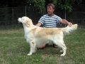 Garry 6 Jahre alt