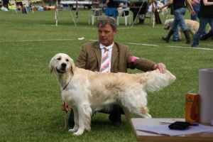 Bryan auf dem Champion Club Match in Ermelo