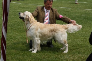 Bryan in auf dem Champion Club Match in Ermelo