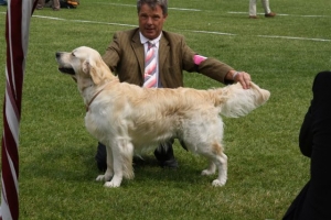 Bryan auf dem Champion Club Match in Ermelo