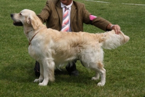 Bryan auf dem Champion Club Match in Ermelo