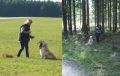 Johnny bei der Brauchbarkeitsprüfung