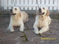 Bryan und Johnny