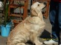 Johnny 1 Jahr alt