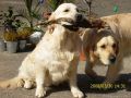 Johnny mit seinem Onkel Rocky