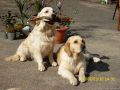Johnny mit seinem Onkel Rocky