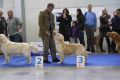 Johnny wird dritter auf der Eurodogshow in Celje