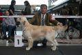 Johnny 1. Platz in Stuttgart