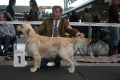 Johnny 1. Platz in Stuttgart