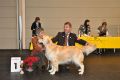Johnny BOB in Friedrichshafen mit der Richterin Frau Lisbeth Mach