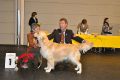 Johnny BOB in Friedrichshafen mit der Richterin Frau Lisbeth Mach