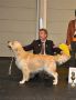 Johnny BOB in Friedrichshafen