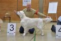 Kenny wird dritter in Hoechstadt