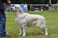 Kenny gewinnt in Aichach