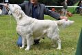 Kenny gewinnt in Aichach