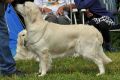 Kenny gewinnt in Aichach