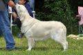 Kenny gewinnt in Aichach