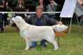 Kenny gewinnt in Aichach