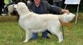 Kenny gewinnt in Aichach