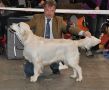 Kenny gewinnt auf der IHA Muenchen 2010