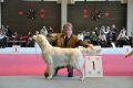 Kenny gewinnt in Wettingen