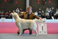 Kenny gewinnt in Wettingen